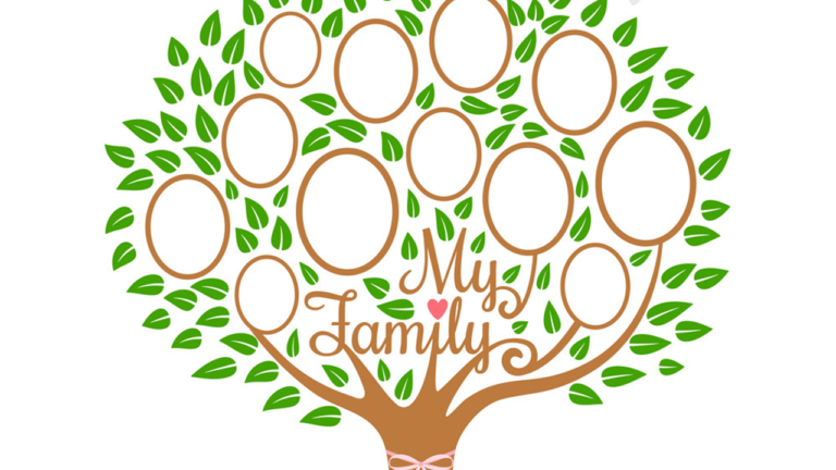 Fostering a Positive Family Culture in Grandfamilies: Cultivating Values and Practices